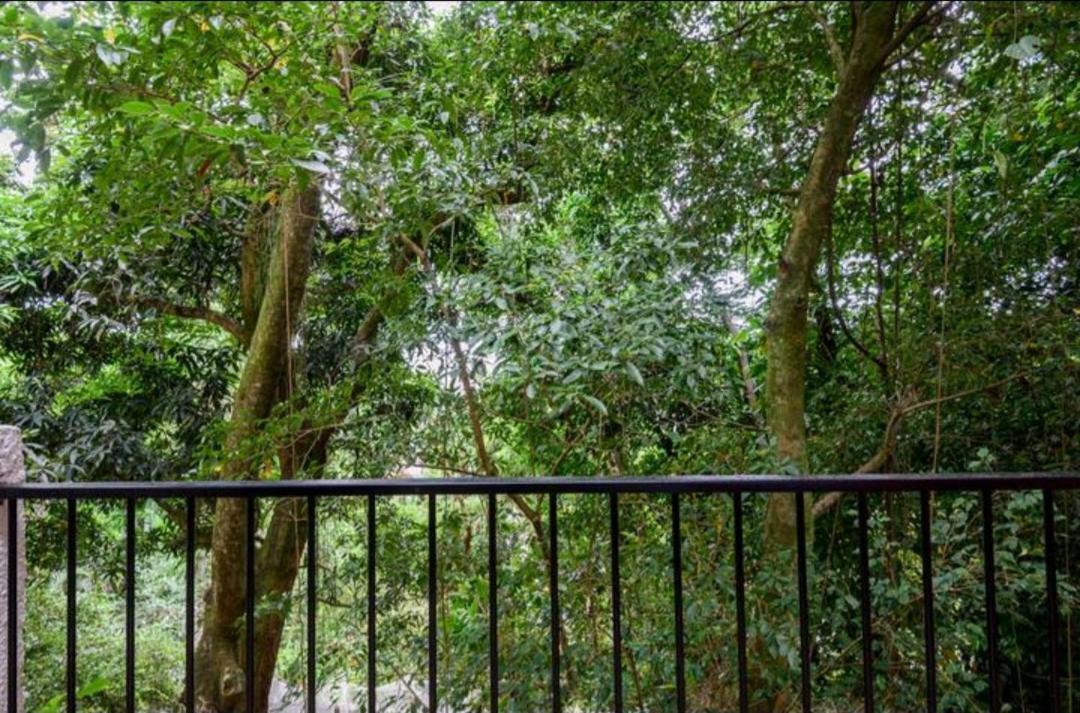 Santa Teresa Junto A Natureza Ρίο ντε Τζανέιρο Εξωτερικό φωτογραφία